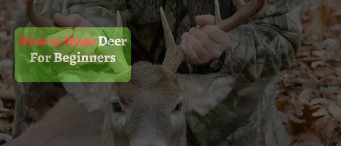How to Hunt Deer for Beginners|10 Comprehensive Tips