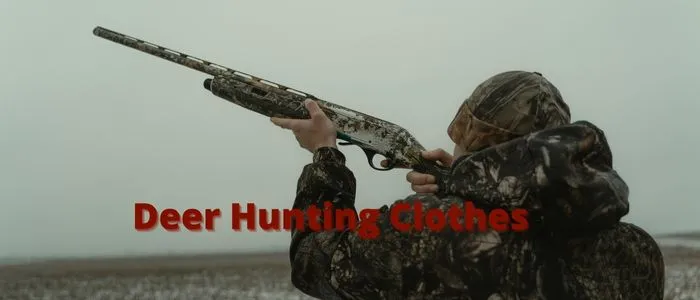 How to Hunt Deer for Beginners