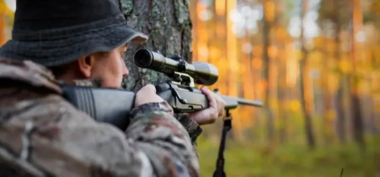How to Sight In Scope on a Pellet Gun